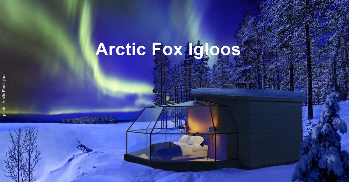 Arctic Fox Igloos